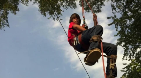Mike Martorelli doing tree work as a child