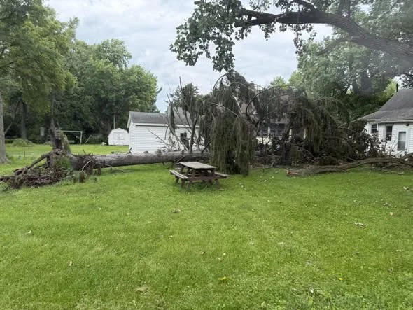 Large fallen tree and storm-damaged branches in a residential yard